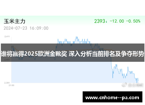 谁将赢得2025欧洲金靴奖 深入分析当前排名及争夺形势