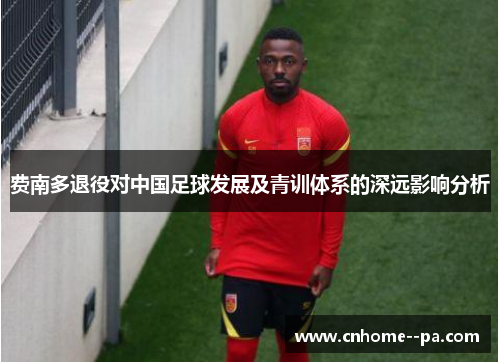 费南多退役对中国足球发展及青训体系的深远影响分析 费南多退役对中国足球发展及青训体系的深远影响分析