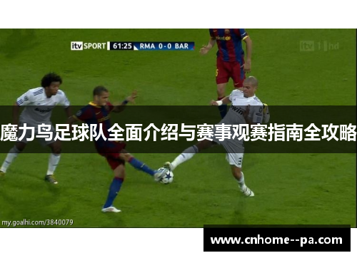 魔力鸟足球队全面介绍与赛事观赛指南全攻略