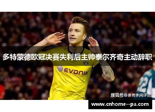多特蒙德欧冠决赛失利后主帅泰尔齐奇主动辞职 多特蒙德欧冠决赛失利后主帅泰尔齐奇主动辞职