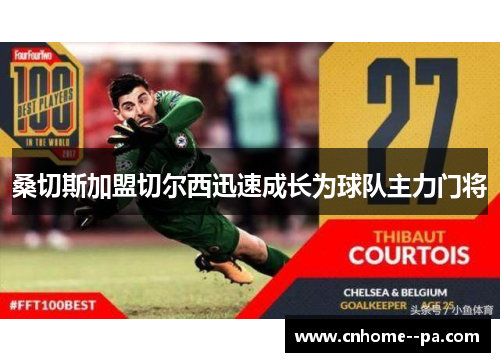桑切斯加盟切尔西迅速成长为球队主力门将